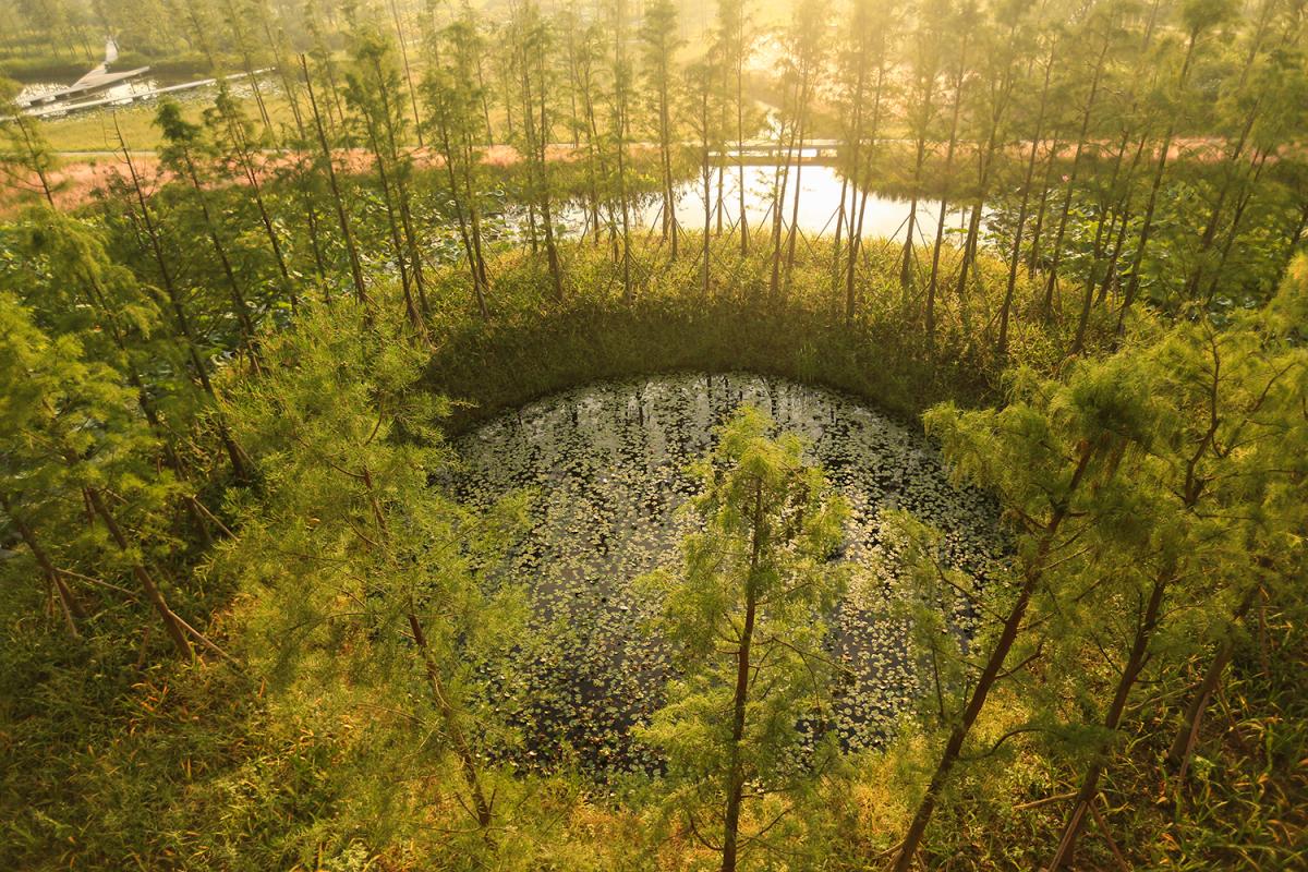 TONGNAN WETLAND PARK