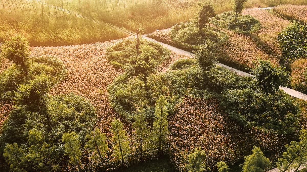 TONGNAN WETLAND PARK