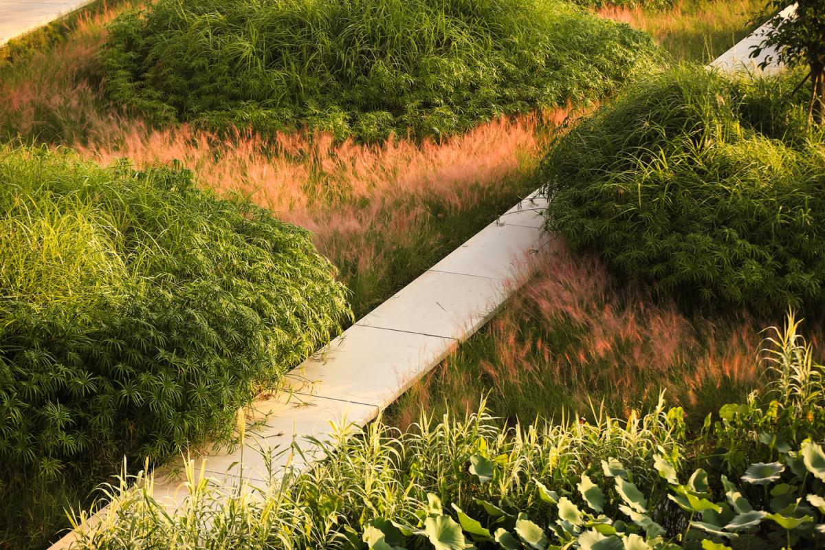 TONGNAN WETLAND PARK