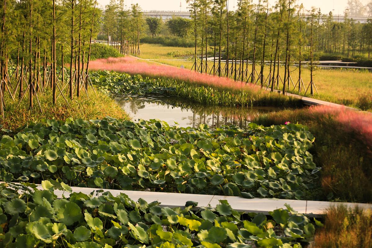 TONGNAN WETLAND PARK