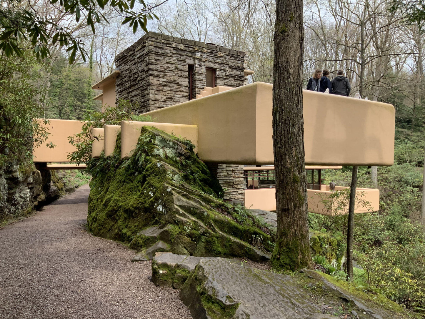 FALLINGWATER